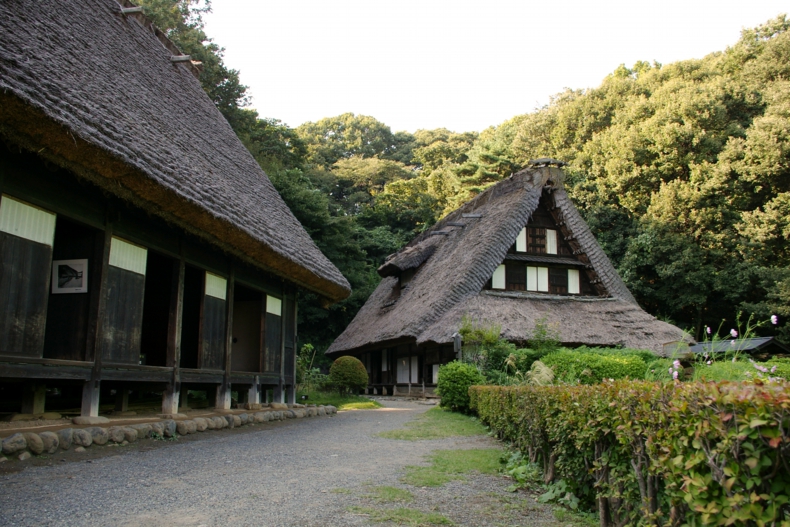 IMGP6655.JPG